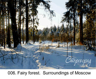 <b>006.</b> The Fantastic Forest. Surroundings of Moscow. (3D shooting : with step to step moving). 2007. 70x50 cm.<br>
Price - <b> 17500</b> roubles unframed 