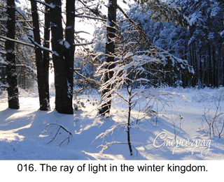 <b>016.</b> The ray of light in the winter kingdom. (3D and animation effect,  
3D shooting : with step to step moving). 2011. 70x50 cm.<br>
 Price - <b> 17500</b> roubles unframed 