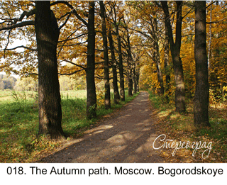 <b>018.</b> The Autumn path Moscow. Bogorodskoye (3D shooting : with step to step moving). 2009. 70x50 cm.<br>
 Price - <b> 17500</b> roubles unframed