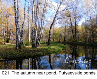 <b>021. </b>The autumn near pond. Putyaevskie ponds. Moscow (3D shooting : with step to step moving). 2009. 70x50 cm.<br>
 Price - <b>17500</b> roubles unframed