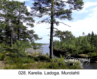 <b>028. </b>Karelia. Ladoga. Murolahti (3D shooting : with step to step moving). 2014. 70x50 cm.<br>
 Price - <b>17500</b> roubles unframed 