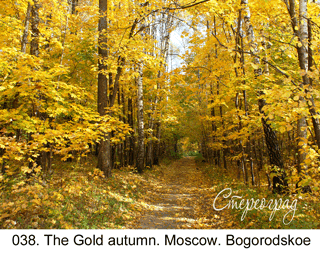 <b>038. </b>The Gold autumn. Moscow. Bogorodskoe. (3D shooting : with step to step moving). 2009. 70x50 cm.<br>
 Price - <b>17500</b> roubles unframed