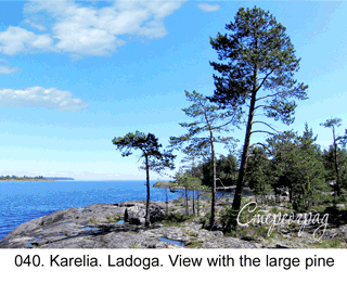 <b>040.  </b>Karelia. Ladoga. View with the large pine.  (3D shooting : with step to step moving). 2014. 70x50 cm.<br>
 Price - <b>17500</b> roubles unframed