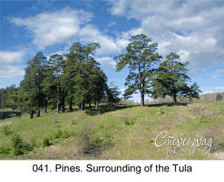 <b>041.  </b>Pines. Surrounding of the Tula (3D shooting : with step to step moving). 2007. 70x50 cm.<br>
 Price - <b>17500</b> roubles unframed