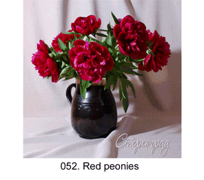 <b>052. </b> Red peonies. (3D shooting : with step to step moving). 2010. 57x57 cm.<br>
 Price - <b>15000</b> roubles unframed 