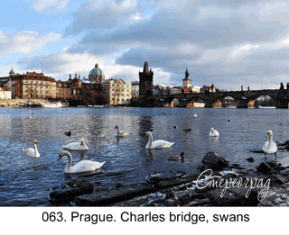 <b>063.</b> Prague. Charles bridge, swans. (2D-3D conversion, 2017). 70x50 cm.<br>
Price - <b> 17500</b> roubles unframed