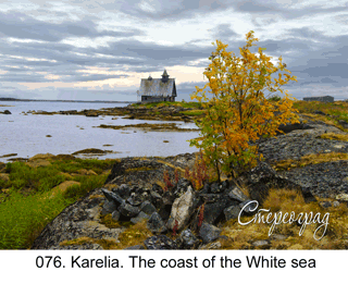 <b>076.</b>Karelia. Rabocheostrovsk. Kemj. Bereg of the White sea. Autumn. Evening. (2D-3D conversion, 2018. Photo 2007). 70x50 cm.<br>
Price - <b> 17500</b> roubles unframed 