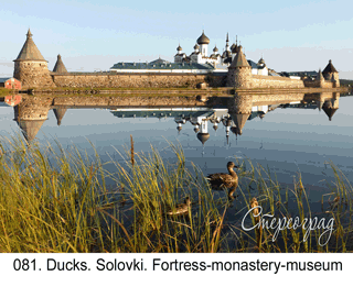 <b>081.</b> Ducks. Solovki. Fortress-monastery-museum. (2D-3D conversion, 2019. Photo 2018). 70x50 cm.<br>
Price - <b> 20500</b> roubles unframed